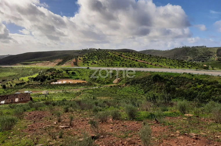 Terreno para Venda em Mexilhoeira Grande Foto 13