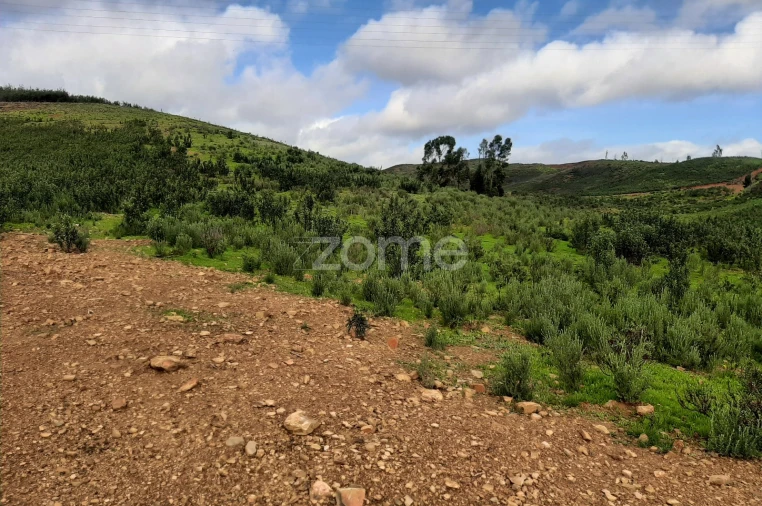 Terreno para Venda em Mexilhoeira Grande Foto 8