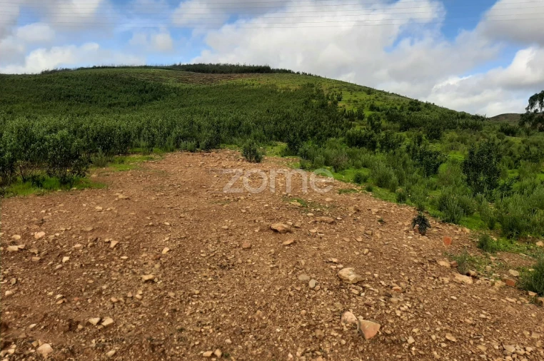 Terreno para Venda em Mexilhoeira Grande Foto 9