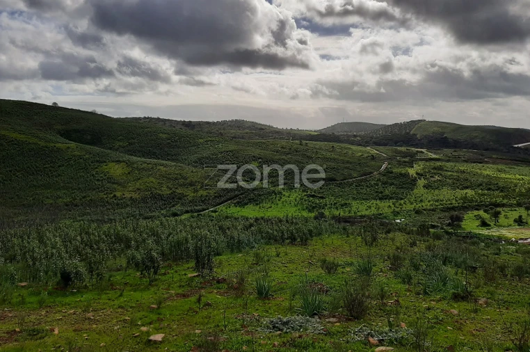 Terreno para Venda em Mexilhoeira Grande Foto 12