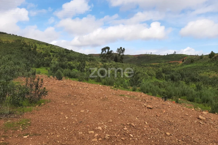 Terreno para Venda em Mexilhoeira Grande Foto 6