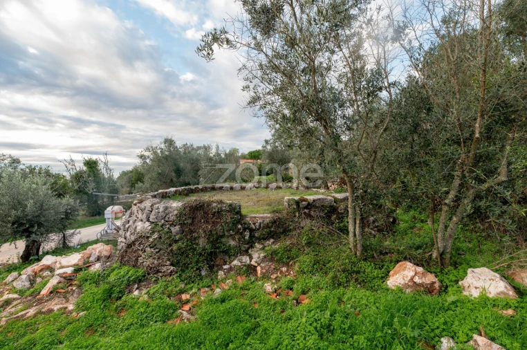 Moradia T3 para Venda em Redinha Foto 40