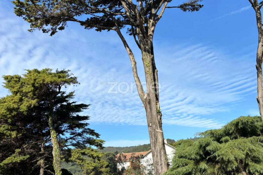 Moradia T7 para Venda em Santa Maria e São Miguel, São Martinho, São Pedro Penaferrim Foto 15