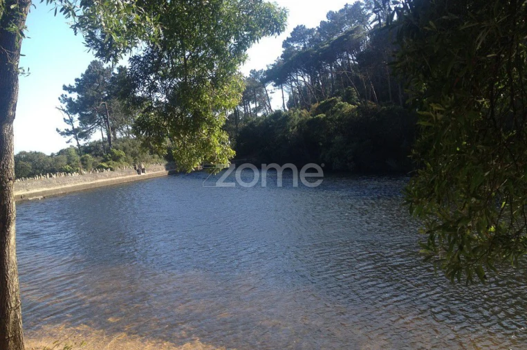 Moradia T7 para Venda em Santa Maria e São Miguel, São Martinho, São Pedro Penaferrim Foto 19