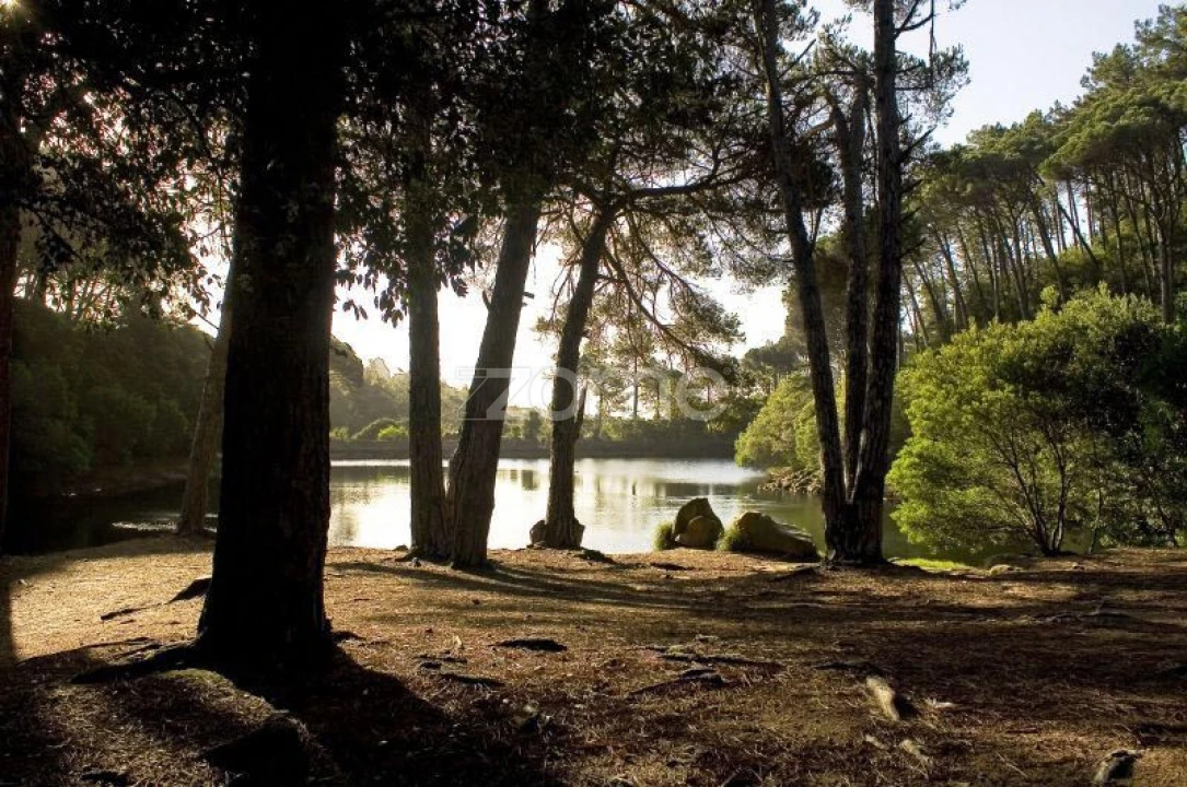 Moradia T7 para Venda em Santa Maria e São Miguel, São Martinho, São Pedro Penaferrim Foto 20