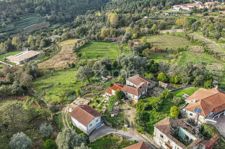 Quinta T6 para Venda em Moimenta Foto 21