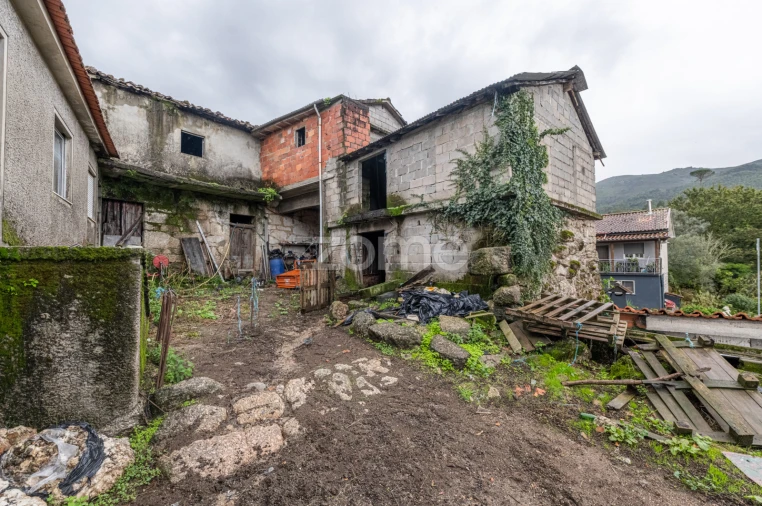 Quinta T6 para Venda em Moimenta Foto 4