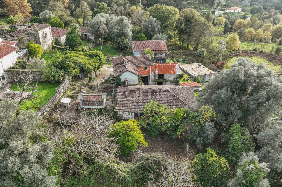 Quinta T6 para Venda em Moimenta Foto 15