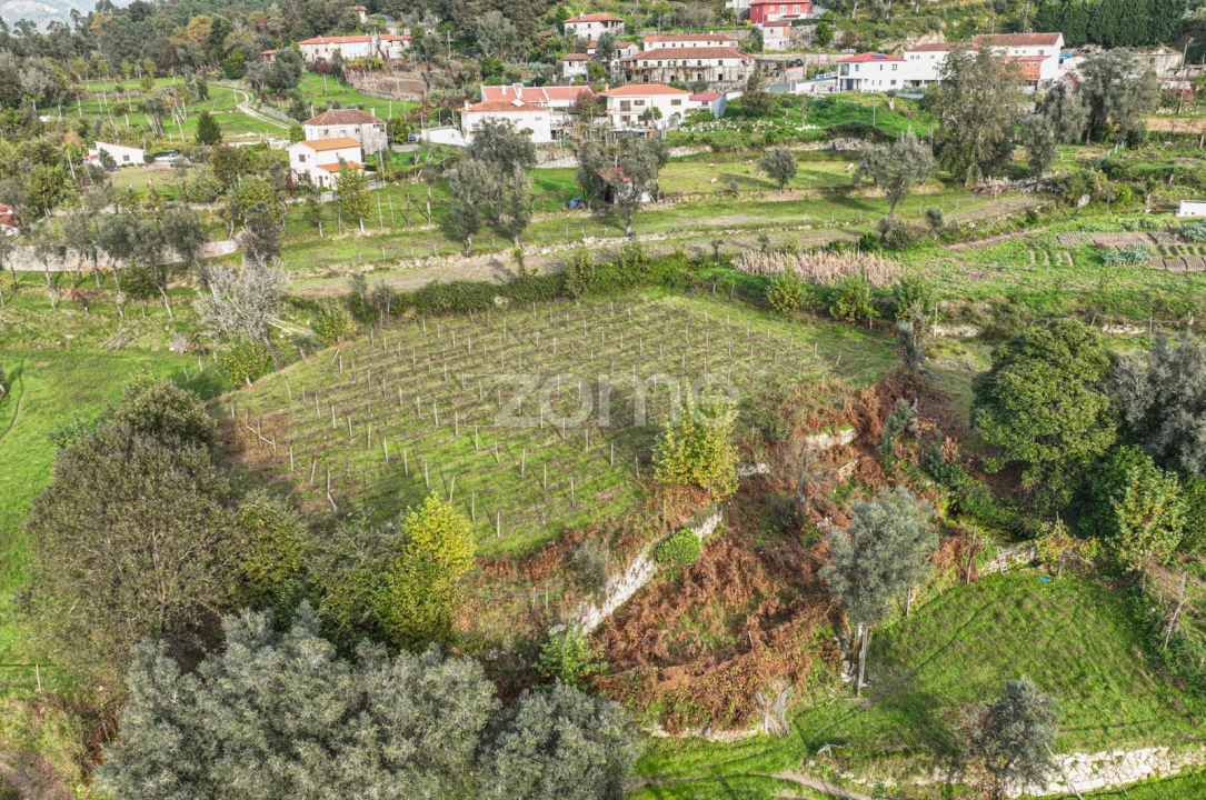 Quinta T6 para Venda em Moimenta Foto 18