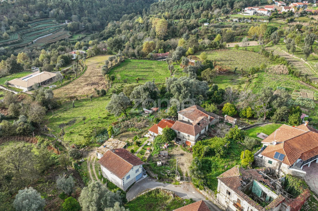 Quinta T6 para Venda em Moimenta Foto 21