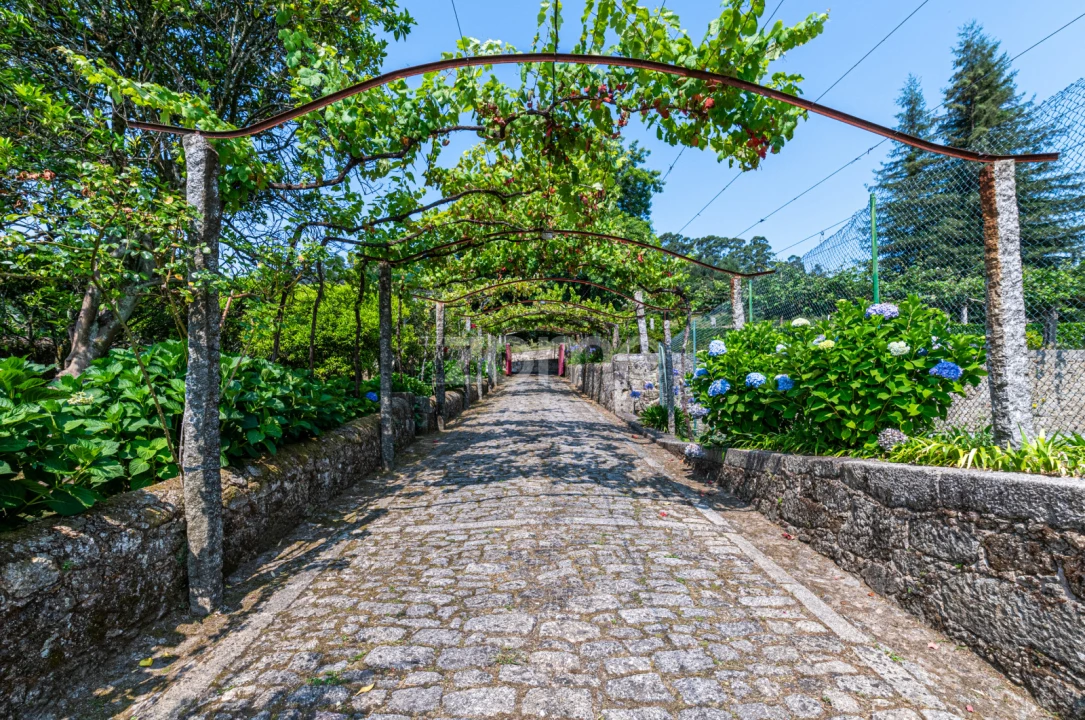 Quinta T15 para Venda em Durrães e Tregosa Foto 15