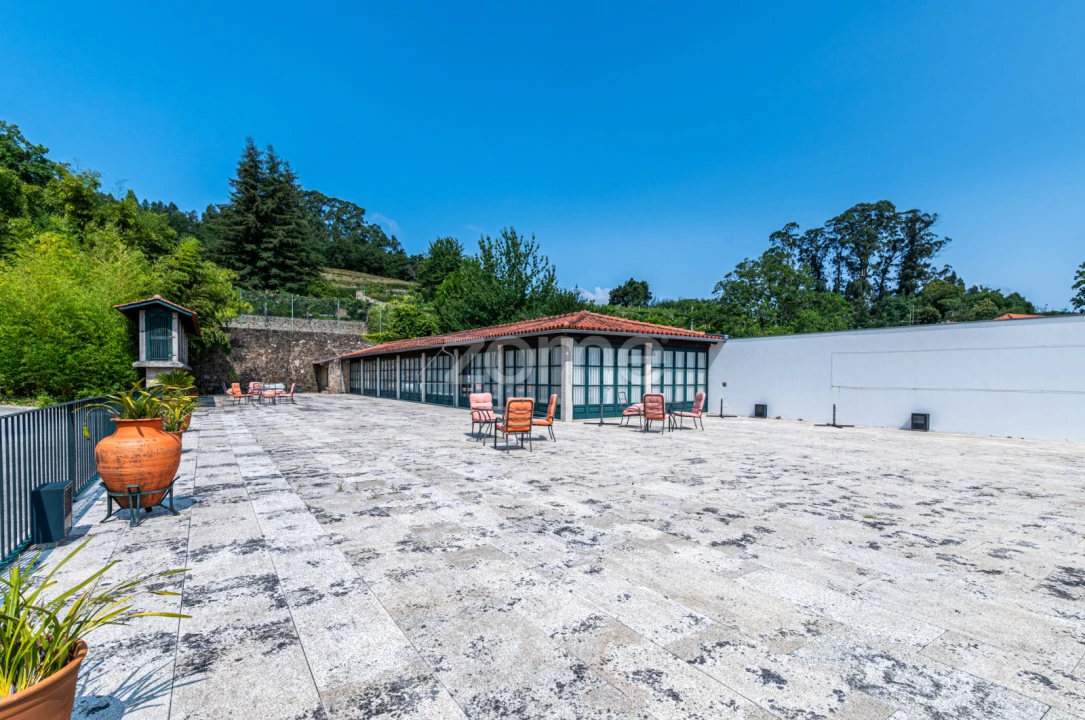 Quinta T15 para Venda em Durrães e Tregosa Foto 21