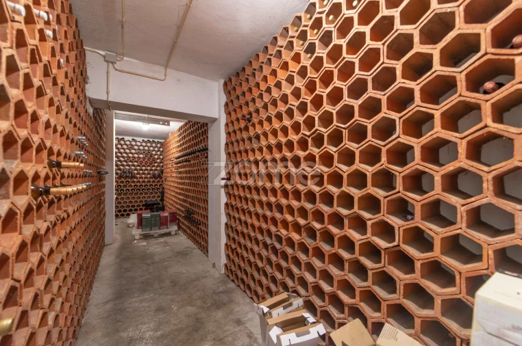 Negócio para Trespasse em Ferreiros, Prozelo e Besteiros Foto 50