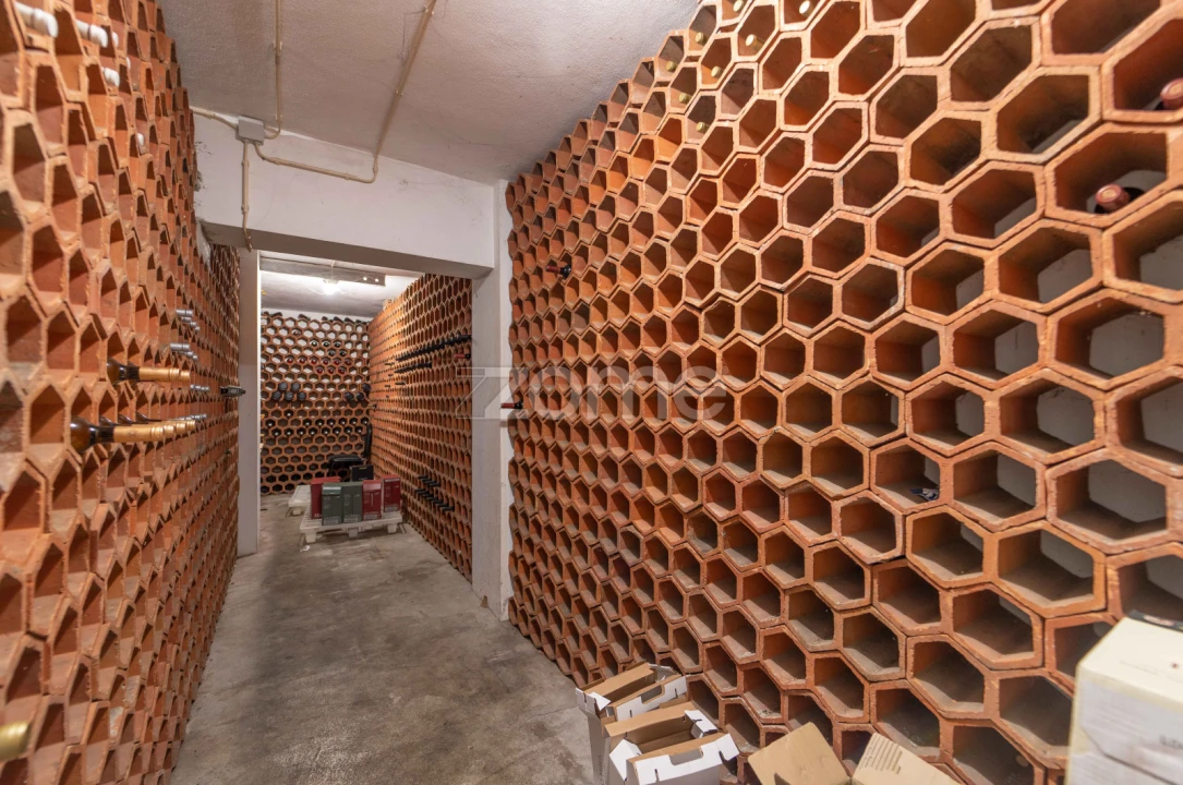 Negócio para Trespasse em Ferreiros, Prozelo e Besteiros Foto 50