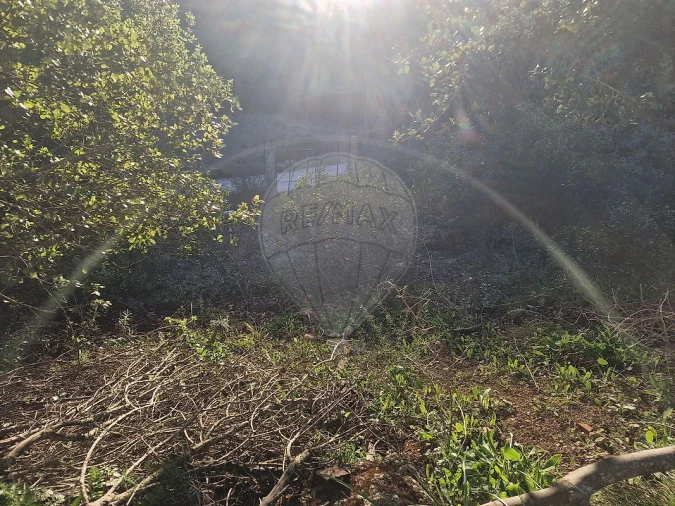 Armazém para Venda em Santiago dos Velhos Foto 19