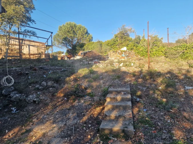 Armazém para Venda em Santiago dos Velhos Foto 11