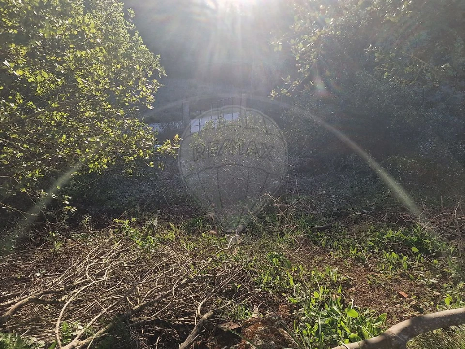 Armazém para Venda em Santiago dos Velhos Foto 19