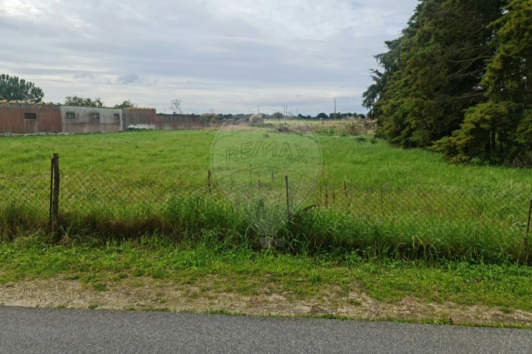 Terreno para Venda em Samora Correia Foto 2