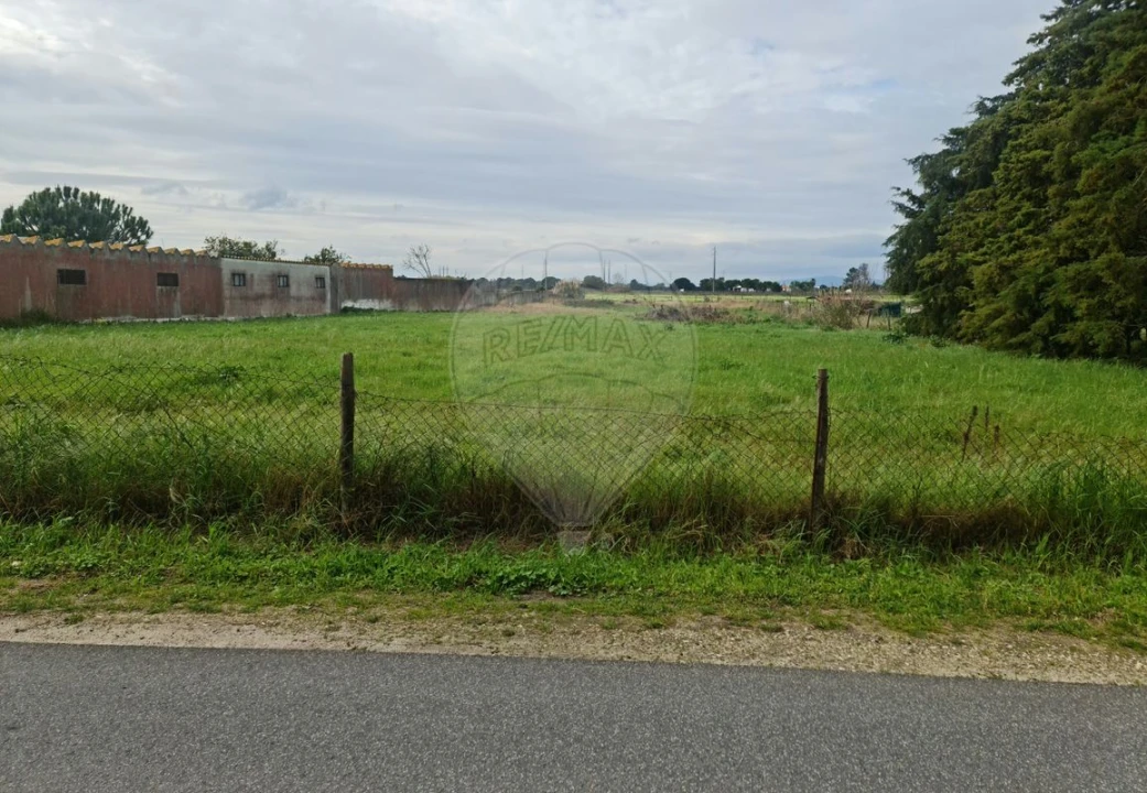 Terreno para Venda em Samora Correia Foto 3