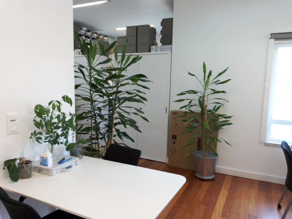 Escritório para Arrendamento em Cascais e Estoril Foto 2