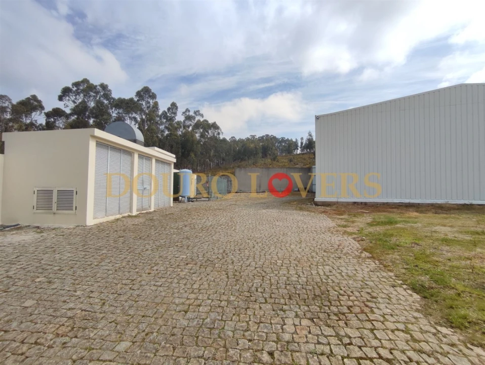 Armazém para Venda em Bougado (São Martinho e Santiago) Foto 29