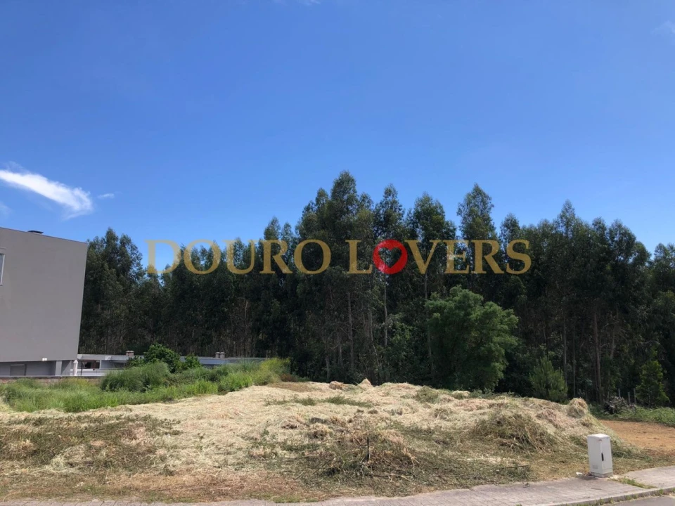 Terreno para Venda em Coronado (São Romão e São Mamede) Foto 3