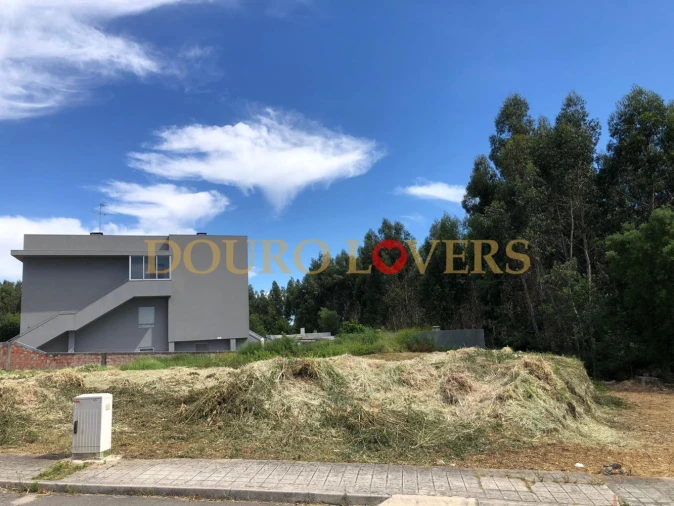 Terreno para Venda em Coronado (São Romão e São Mamede) Foto 5