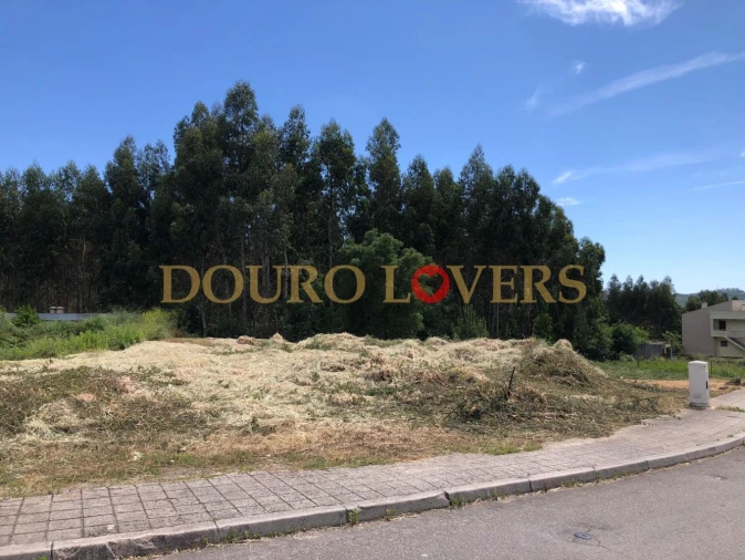 Terreno para Venda em Coronado (São Romão e São Mamede) Foto 6