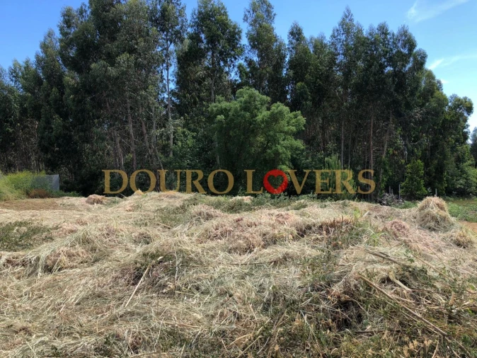Terreno para Venda em Coronado (São Romão e São Mamede) Foto 7