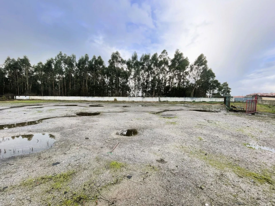 Terreno Comércio / Armazém para Venda em Vila Chã Foto 11