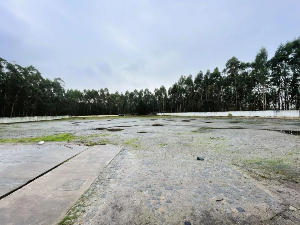 Terreno Comércio / Armazém para Venda em Vila Chã Foto 5
