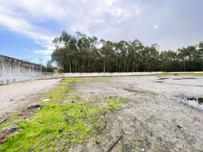 Terreno Comércio / Armazém para Venda em Vila Chã Foto 12
