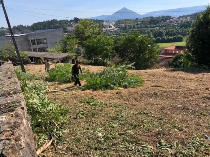 Terreno Agricola ou Rústico para Venda em Britelo, Gémeos e Ourilhe Foto 8
