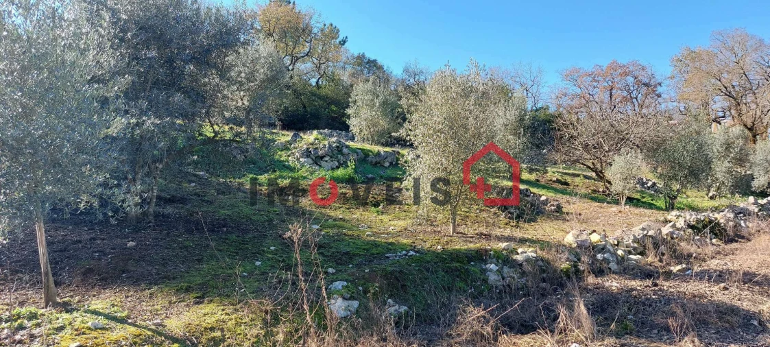 Terreno para Venda em Santa Catarina da Serra e Chainça Foto 3