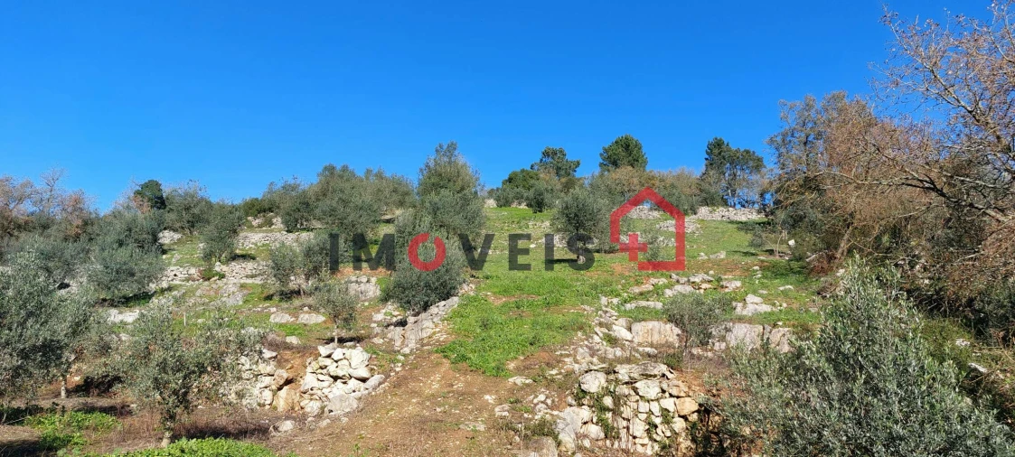 Terreno para Venda em Santa Catarina da Serra e Chainça Foto 4