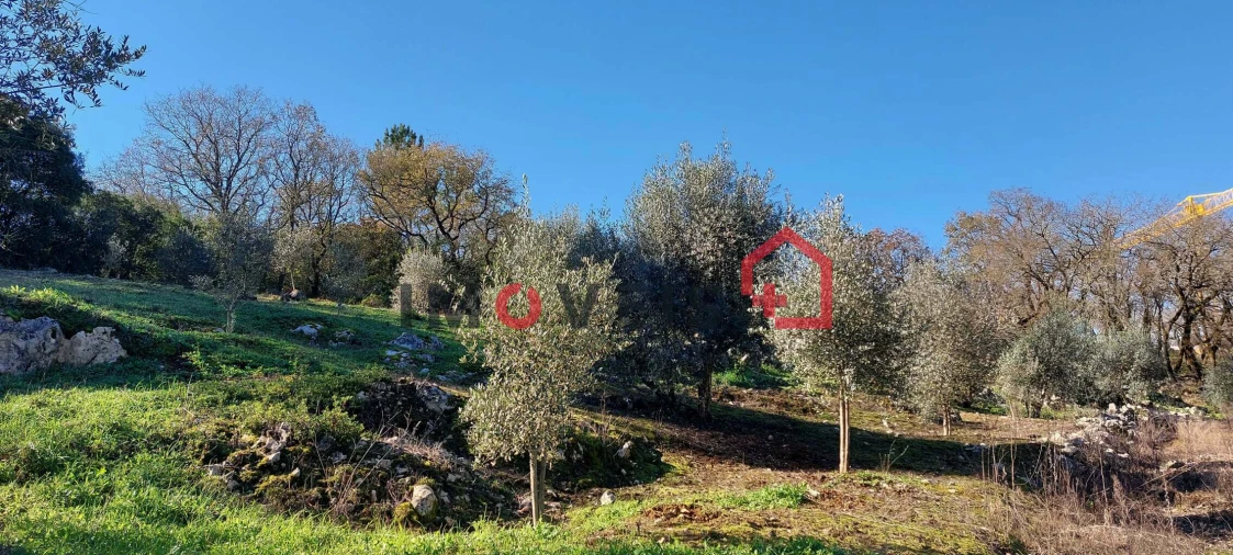 Terreno para Venda em Santa Catarina da Serra e Chainça Foto 6