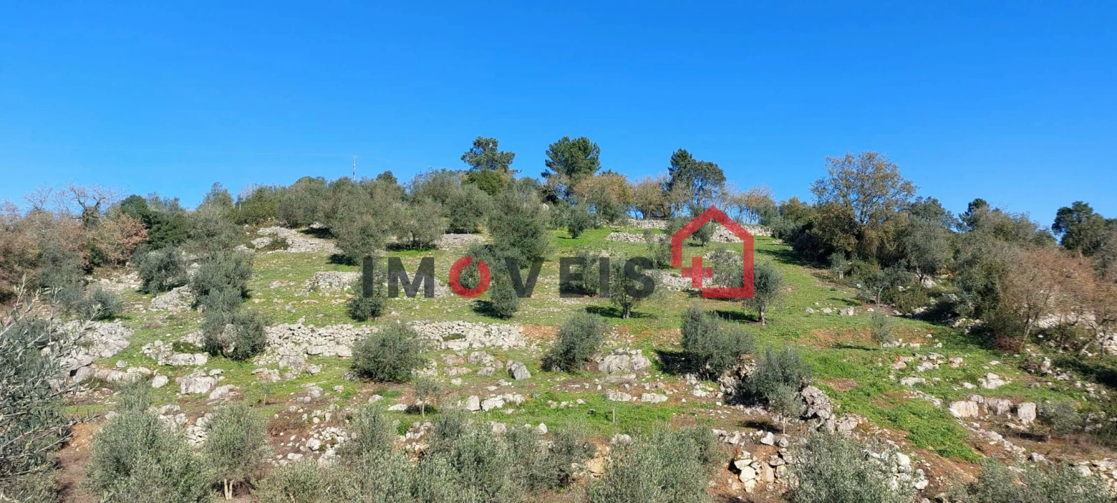 Terreno para Venda em Santa Catarina da Serra e Chainça Foto 2