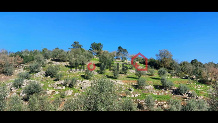 Terreno para Venda em Santa Catarina da Serra e Chainça