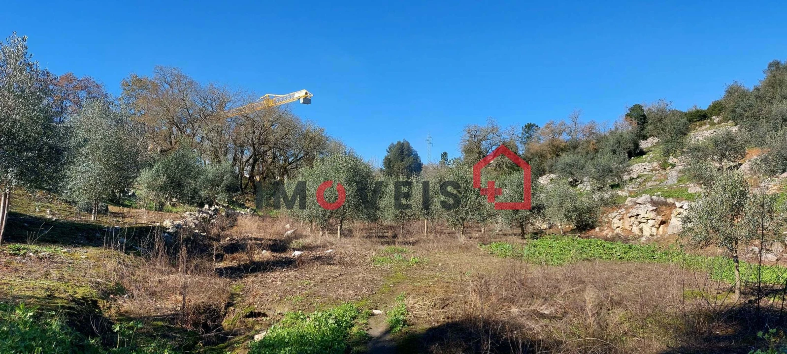 Terreno para Venda em Santa Catarina da Serra e Chainça Foto 5