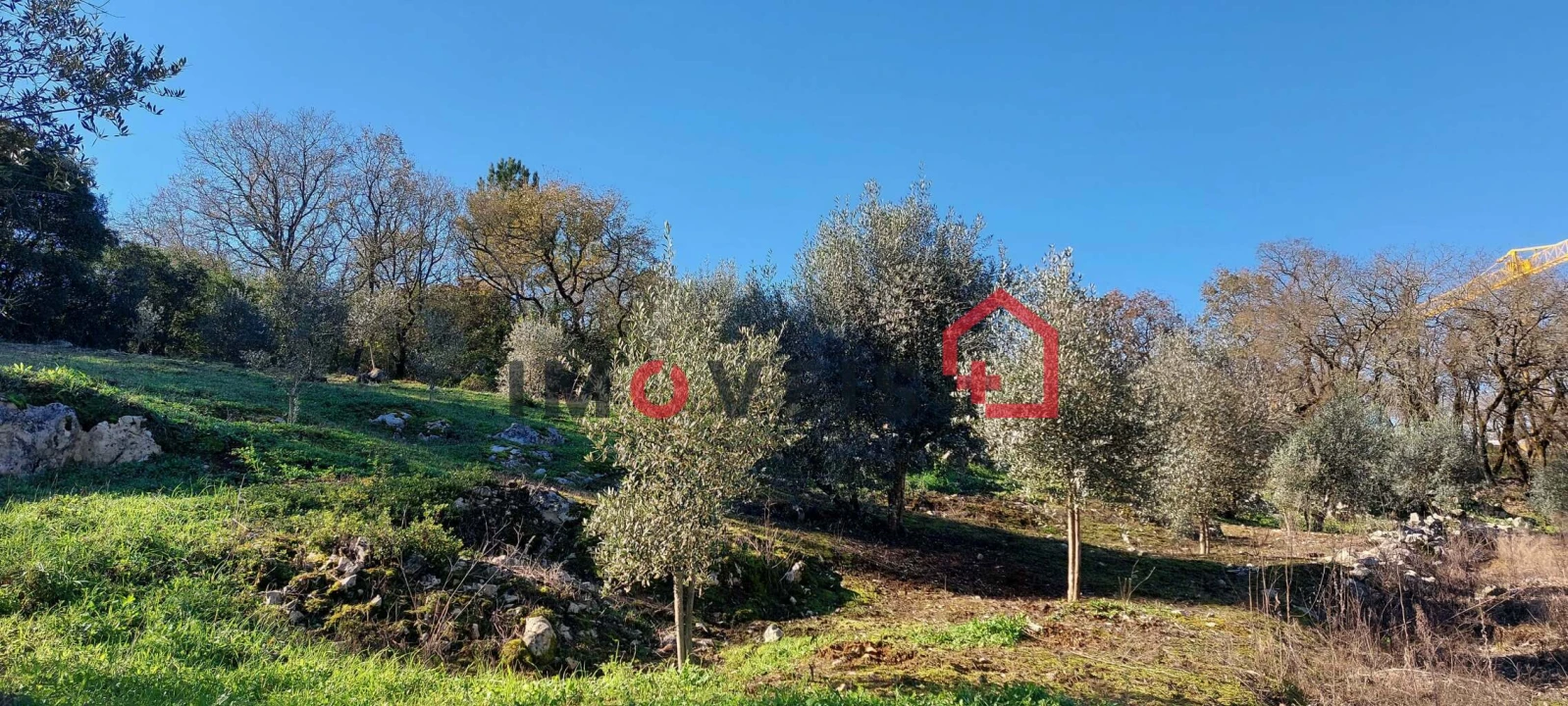 Terreno para Venda em Santa Catarina da Serra e Chainça Foto 6
