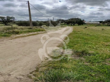 Terreno para Venda em Évora (São Mamede, Sé, São Pedro e Santo Antão)
