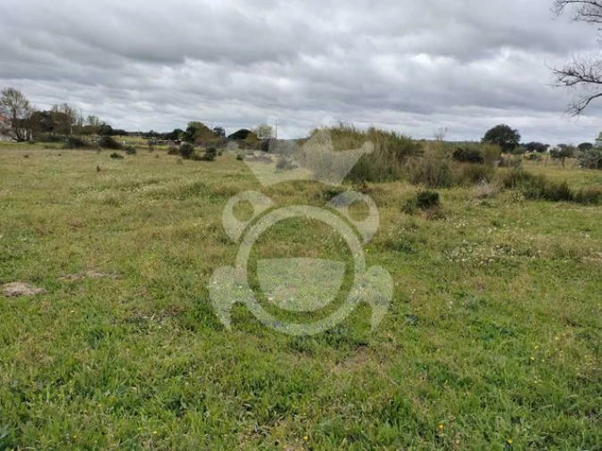 Terreno para Venda em Évora (São Mamede, Sé, São Pedro e Santo Antão) Foto 7