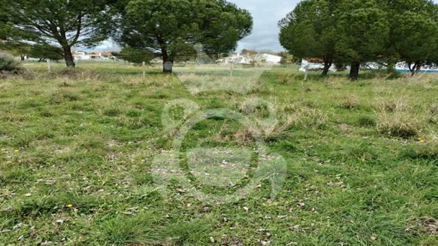 Terreno para Venda em Évora (São Mamede, Sé, São Pedro e Santo Antão)