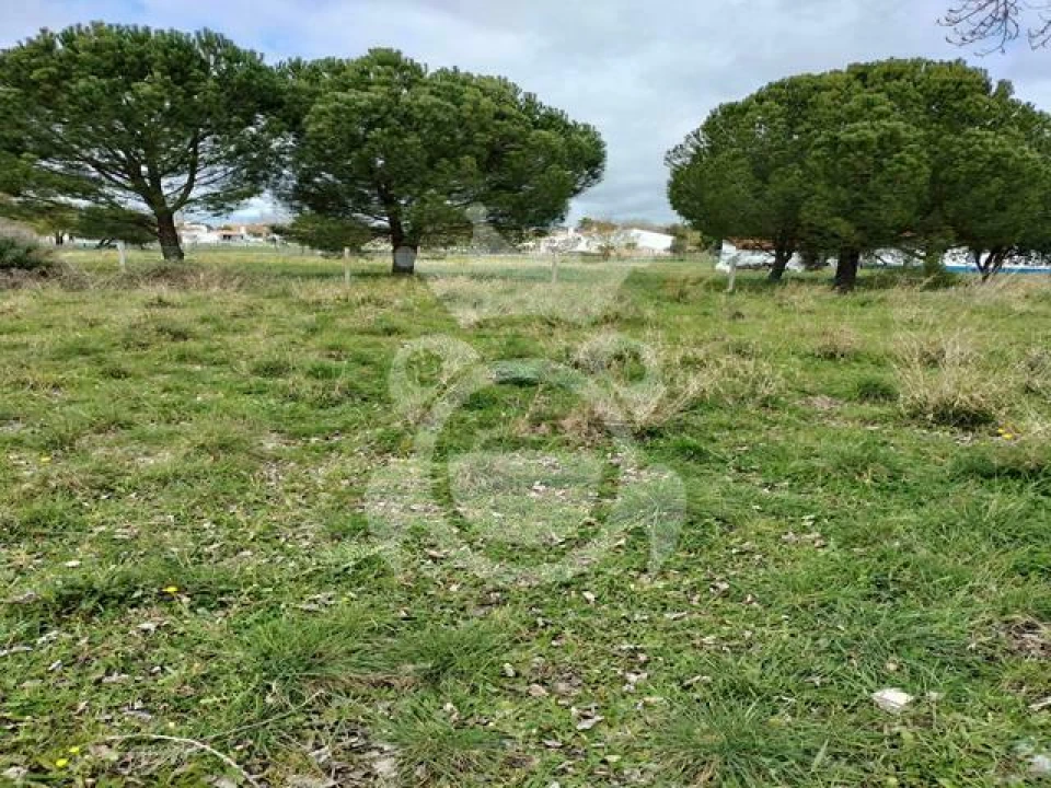 Terreno para Venda em Évora (São Mamede, Sé, São Pedro e Santo Antão) Foto 1