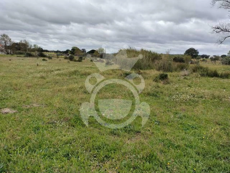 Terreno para Venda em Évora (São Mamede, Sé, São Pedro e Santo Antão) Foto 7