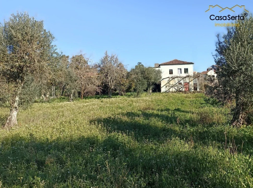 Moradia T3 para Venda em Cernache do Bonjardim, Nesperal e Palhais Foto 5