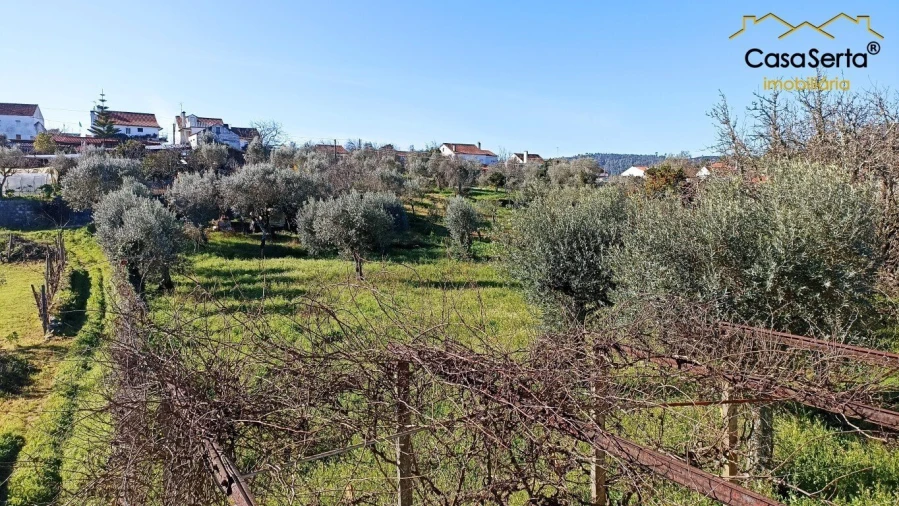 Moradia T3 para Venda em Cernache do Bonjardim, Nesperal e Palhais Foto 15