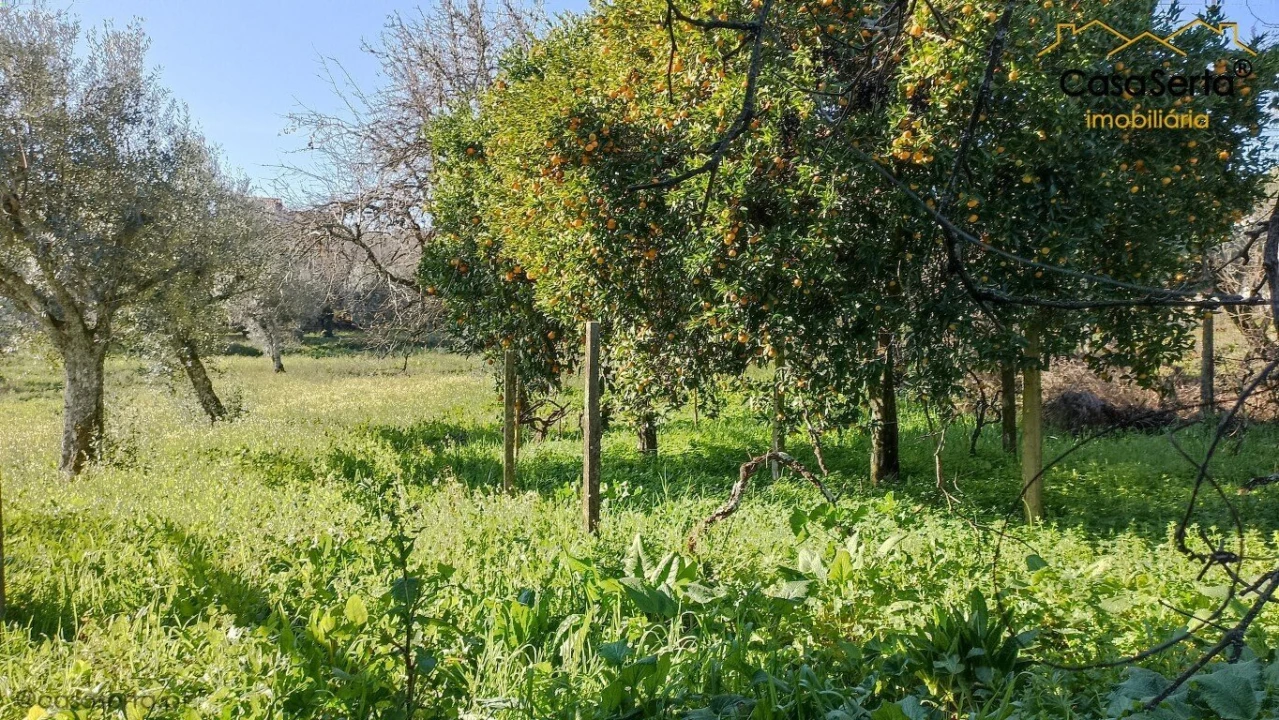 Moradia T3 para Venda em Cernache do Bonjardim, Nesperal e Palhais Foto 17
