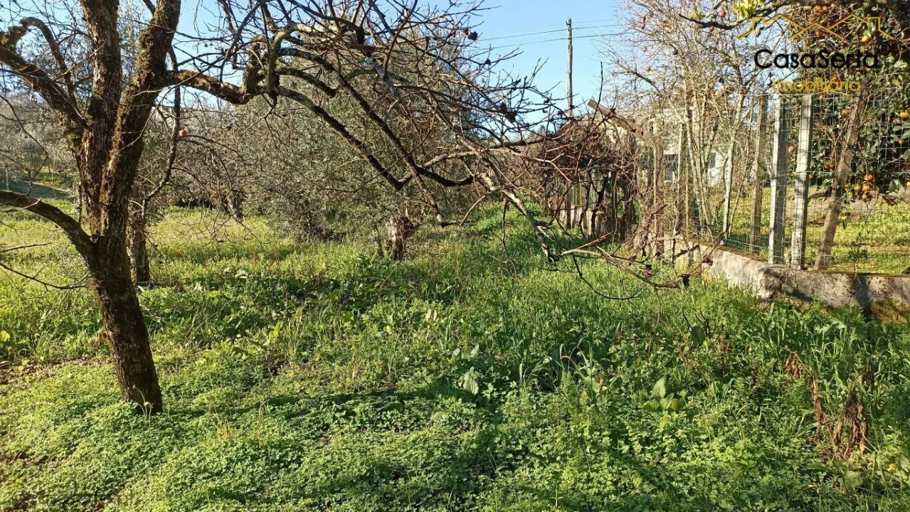 Moradia T3 para Venda em Cernache do Bonjardim, Nesperal e Palhais Foto 16