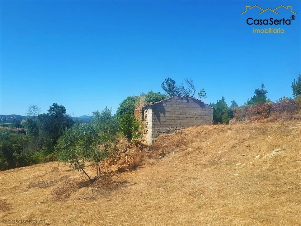 Terreno para Venda em Cernache do Bonjardim, Nesperal e Palhais Foto 2